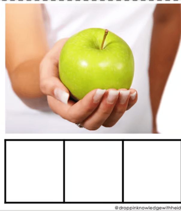 Phonemic Awareness Center - with REAL PICTURES! (2-3 phonemes) - Image 3